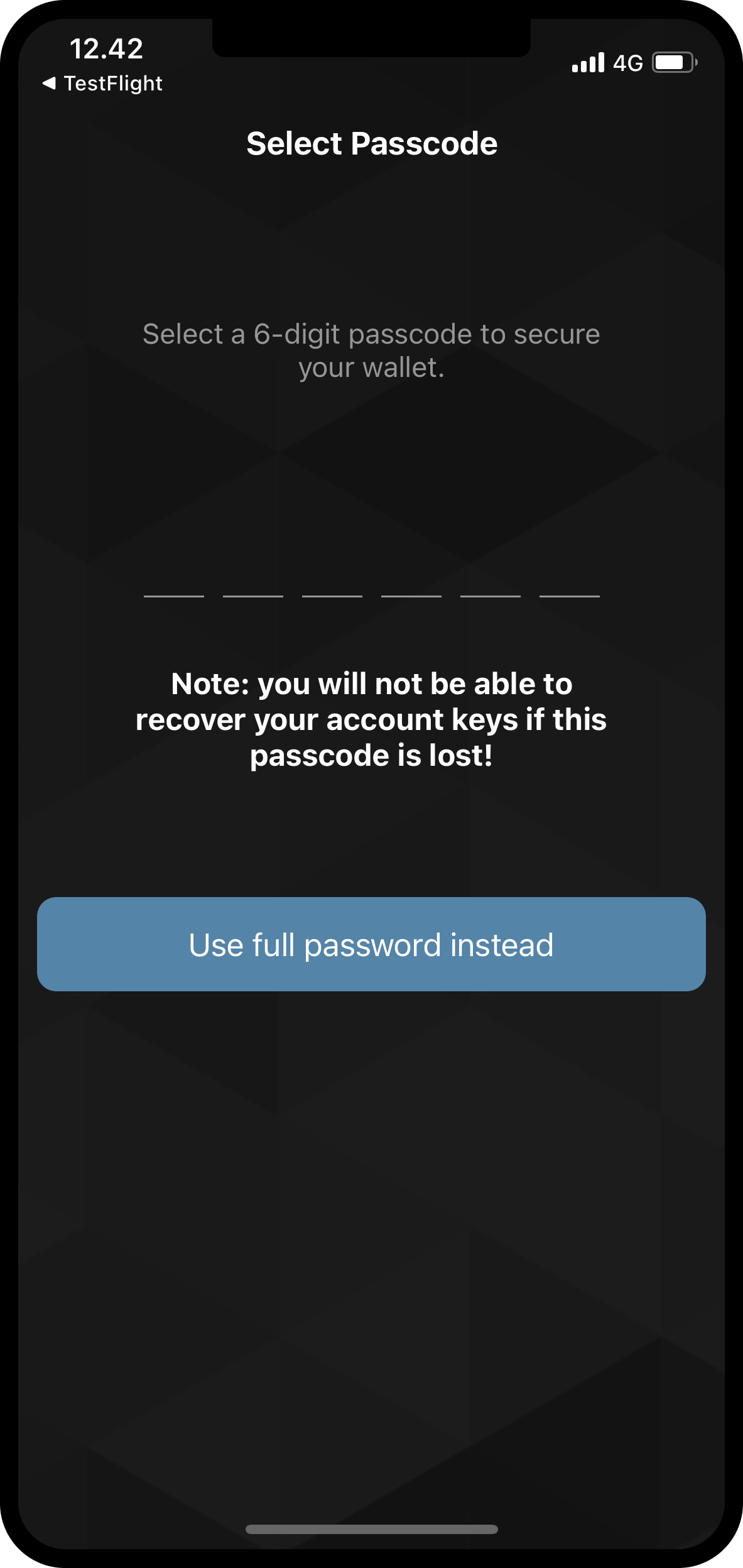 screen to enter six digit passcode or enter a full password