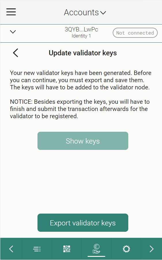screen with buttons to show keys or export validator keys